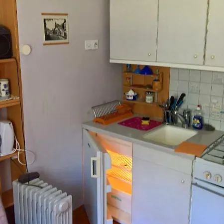 Cute Studio Flat Apartamento Kranjska Gora